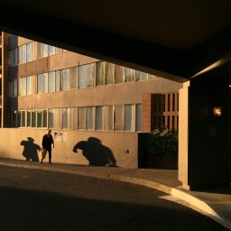 Hollywood Towne House